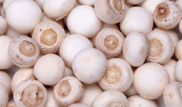 17ccgcg吃瓜爆料蘑菇,蘑菇背后的惊人真相